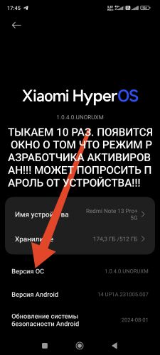 Активация режима разработчика